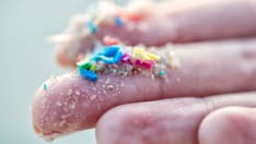 Microplastics and Health Risks: What Do We Really Know?