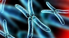 Why Do Women Get Alzheimer's More Than Men? Study Offers Clue