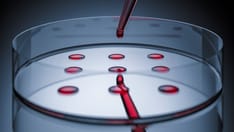 Test Strips Identify Fetal Tissue in Vaginal Blood