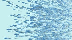 Most Men Who Apply to Donate Sperm Don't Complete Process