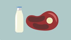 Can Particles in Dairy and Beef Cause Cancer and MS?