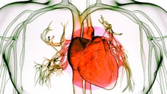 Residential Move After a Heart Attack Raises Risk for Death