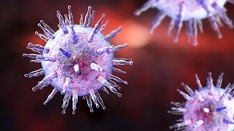 Epstein-Barr and MS: Just How Strong Is the Link?