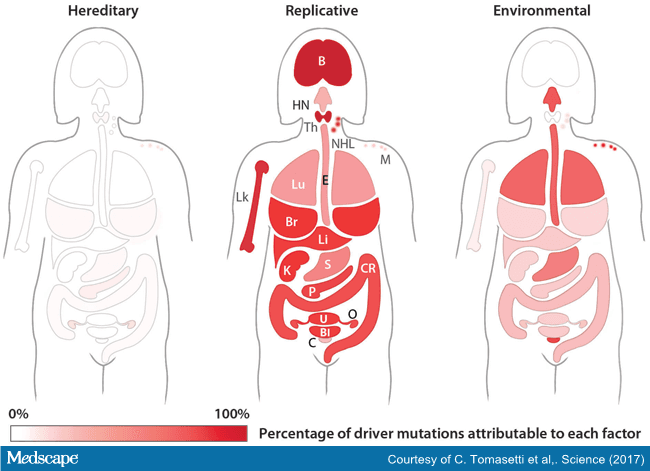 Cancer Mutations Mostly Due to 'Bad Luck' -- New Data
