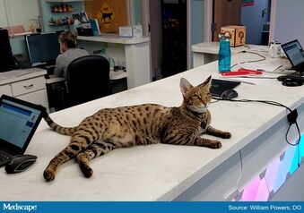 With Exotic Cats Video Games Doc Exhibits Lgbtq Friendly Care