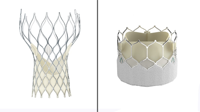 TAVR Valves Compared, and Other Lessons on the Management of AS