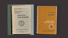 The Past, Present, and Future of the DSM