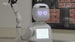 Twin Robots Lighten Load So Busy Nurses Can Focus on Humans