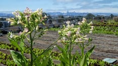 Location, Location, Location: It Matters for Gut Health Too