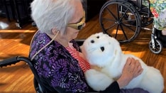 The Many Surprising Medical Uses of AI 'Companion' Robots