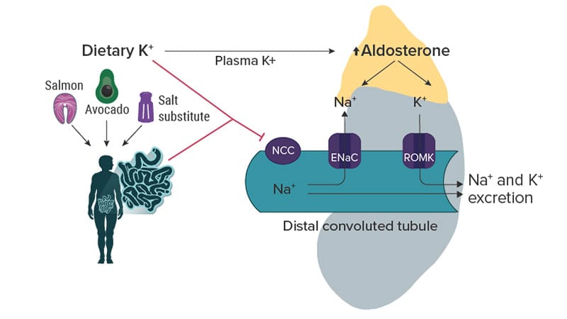 Sodium vs Potassium for Lowering Blood Pressure