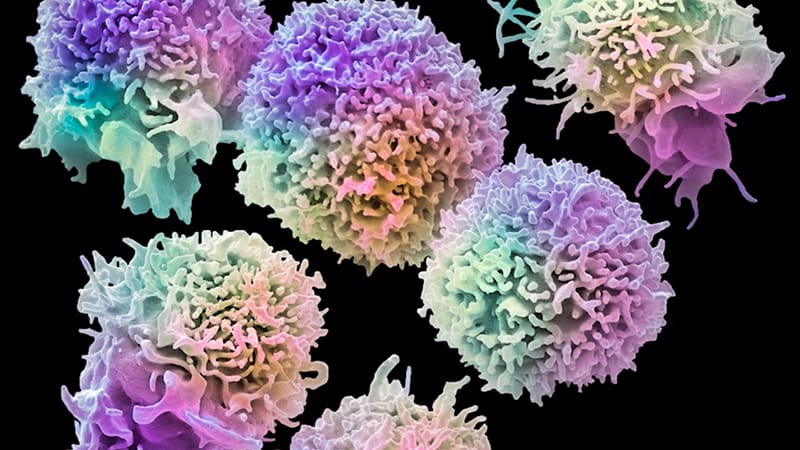 Inroads Into Natural Killer Cell Immunotherapy: Cord Blood—Derived Natural Killers