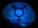 The Transgender Brain: New Insights