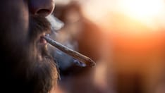 Strong Support for Causal Role of Cannabis in Schizophrenia