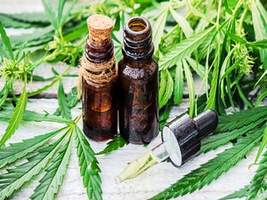Medical Cannabis Safe, Effective in the Elderly
