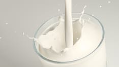 Iron Deficiency in Children With Cow's Milk Allergies: Are Restrictive Diets to Blame?