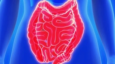 Prevalence of IBD in Canada May Increase 37% by 2035
