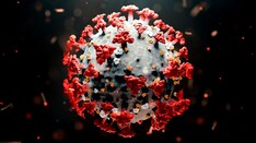 Doctor Fined, Accused of Exposing Staff to COVID-19