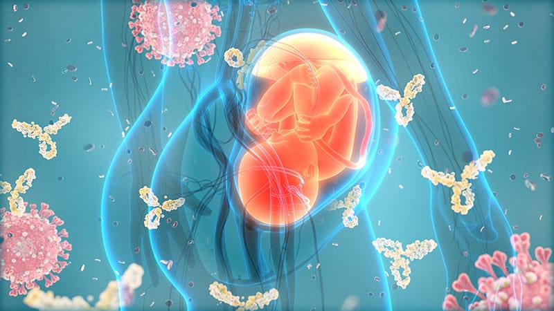 Maternal COVID Antibodies Cross Placenta, Detected in Newborns