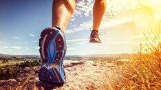 Physical Activity Gains Mostly Persist After Scaling Back Financial Health Incentive Program