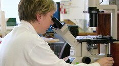 Teamwork: A Multidisciplinary Approach to Early Lung Cancer: Surgical Options