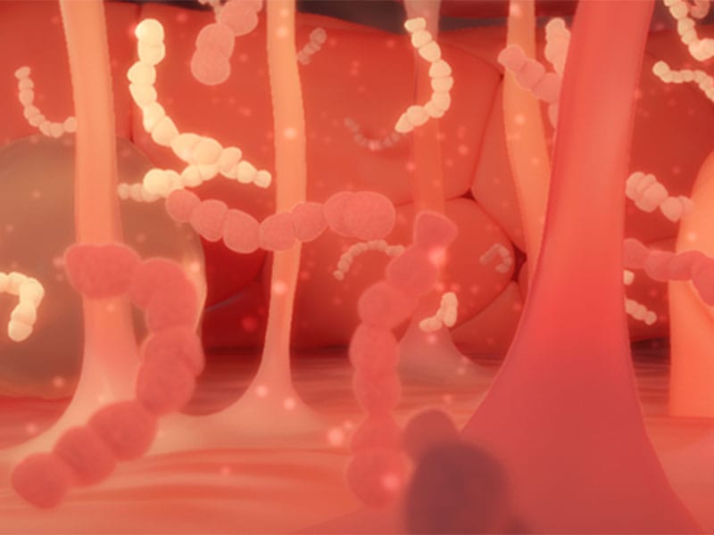 Meningitis: Preventing a Fatal Infection