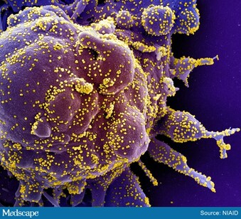 Two Monoclonal Antibody Trials For Covid 19 Launched