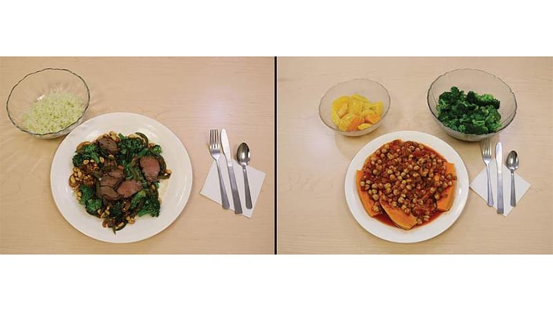 Plant-Based or Keto Diet? Novel Study Yields Surprising Results