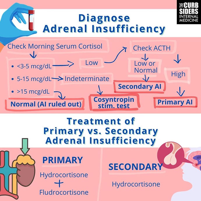 Diagnosing Adrenal Insufficiency: The 'Quick and Dirty' Method