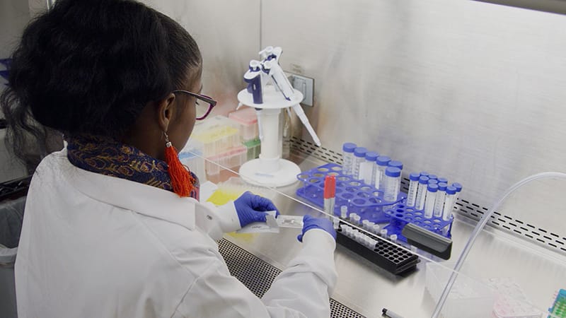 Small Steps in Pancreatic Cancer: Treatment Options