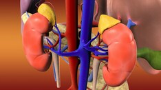 Legacy of Neutral Renal Denervation Trial Recast by Long-term Outcomes: SYMPLICITY HTN-3