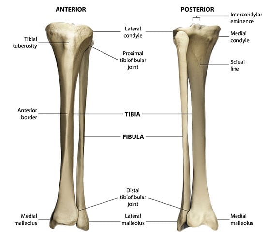 Pain From Surgery