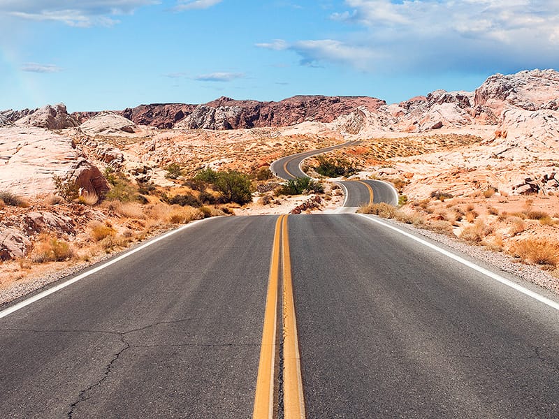Renal Cell Carcinoma: The Road Ahead