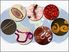 ss-neglected-tropical-diseases