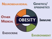 Obesity: How to Diagnose and Treat an Epidemic