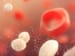 Vanishing Platelets: Issues in Thrombocytopenia