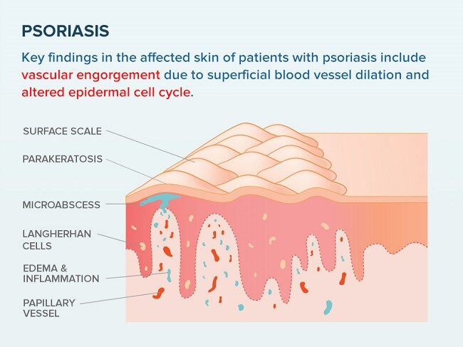 Clinical Trends For August 2016 - Page 2