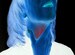 Gastroesophageal Reflux Disease: Practice Essentials ...