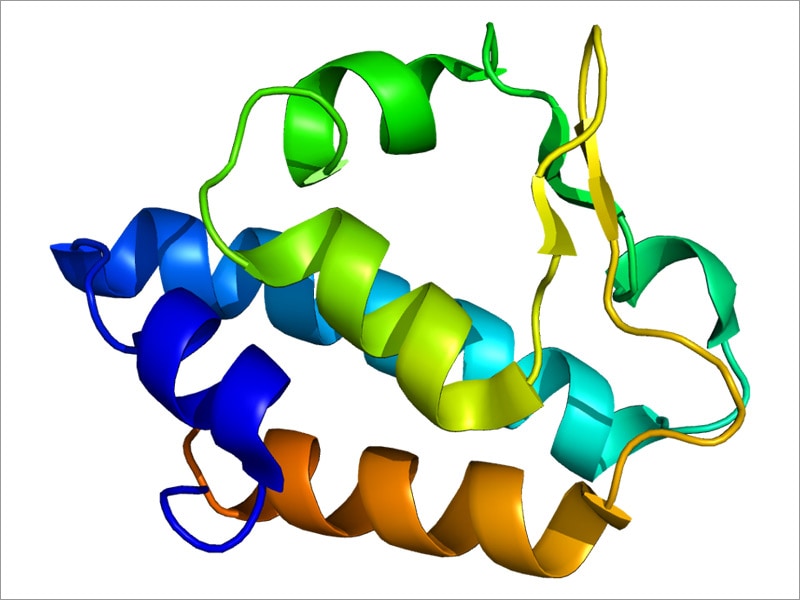 American Society of Human Genetics (ASHG) 2016 Annual Meeting