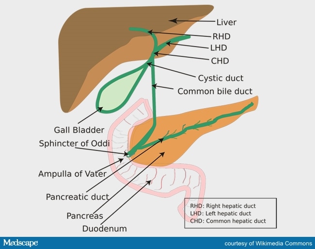 Biliary Tract Cancer Data 'Will Change Practice Overnight'