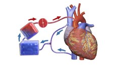 Hypothermia: The Cold Facts