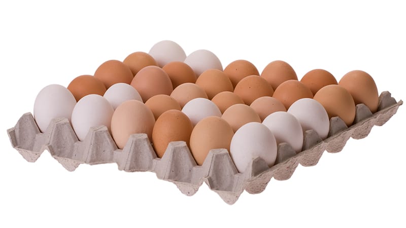 Maternal Egg and Peanut Consumption Does Not Reduce Child Food Allergy Risk
