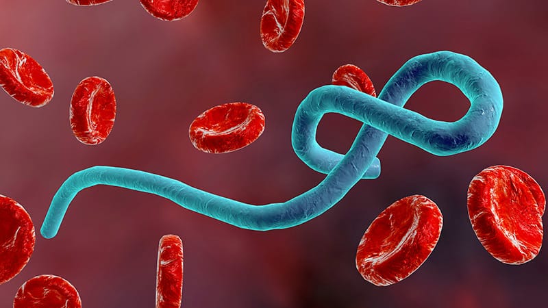 Can Antiviral PEP Protect Workers During Ebola Outbreaks?