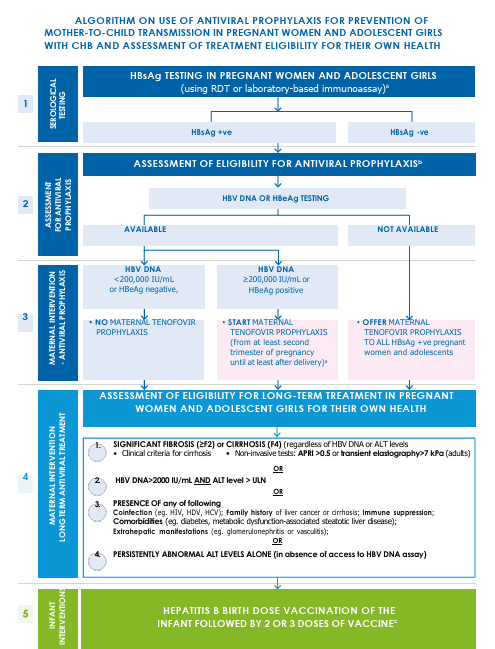 Hepatitis B, Chronic: WHO 2025 Guideline Summary