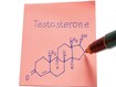 photo of The chemical makeup formula of testosterone