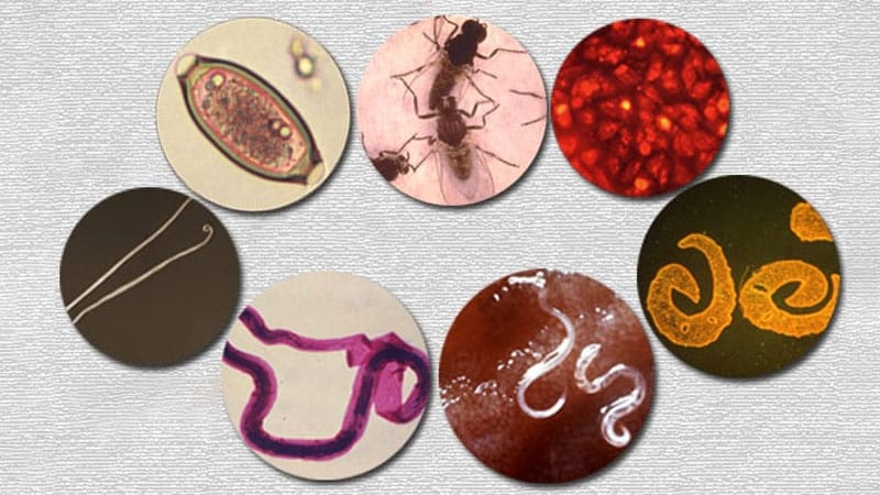 Mini-examen clínico: Enfermedades tropicales desatendidas