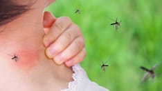 photo of Cute asian baby girl has rash and allergy on neck skin from mosquito bite and sucking blood while playing outdoor