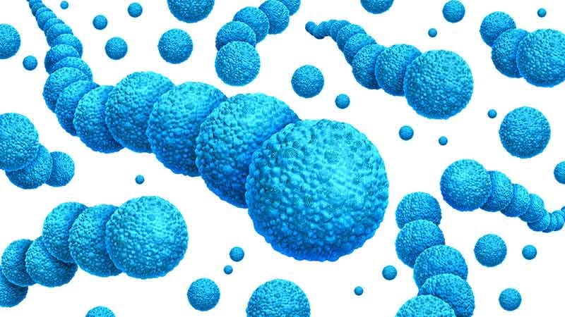 Practical Answers to Everyday Infection Questions