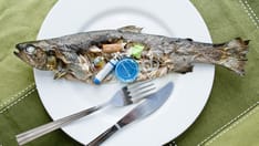 photo of Contaminated fish. Cooked fish full of garbage inside, served on a plate, conceptual.