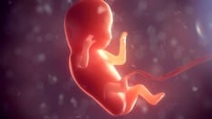 photo of Human embryo inside mother's body 3D illustration